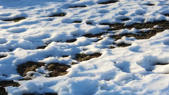 Patches of melting snow on dark ground reveal earth or grass, with footprints visible.
