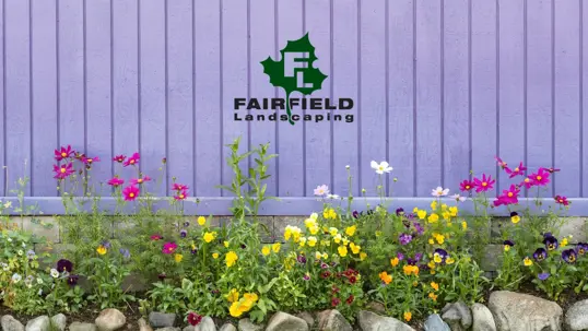 The FAIRFIELD Landscaping logo is displayed on a purple plank wall.