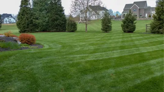 A lush, striped green lawn extends towards houses, framed by trees and shrubs, showcasing a well-maintained outdoor space.
