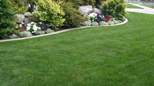 A lush green lawn transitions to a colorful flower bed with white, purple, and red blooms, complemented by natural rocks and varied shrubs.
