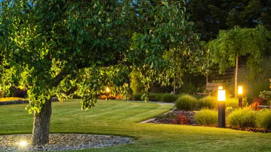 A beautifully lit garden at night, featuring an illuminated tree, green lawn, and glowing path lights guiding through shrubs.
