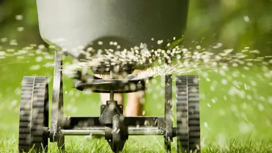 A lawn spreader disperses fertilizer across a vibrant green lawn.