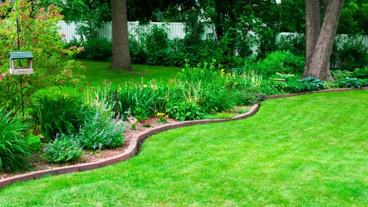 A vibrant, healthy green lawn with a neatly edged, curving garden bed full of diverse plants and flowers.