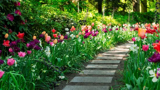A picturesque garden path bordered by a colorful array of spring tulips and other blooming flowers, leading into lush greenery.
