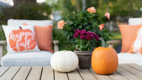 An outdoor fall patio scene with a white pumpkin, an orange pumpkin, and potted mums on a wooden table.