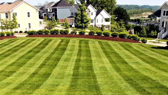 A lush, perfectly striped green lawn extends towards modern homes under a sunny sky.