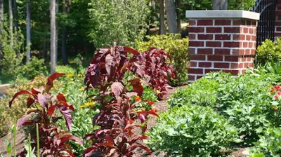 Landscape and Hardscape by Fairfield Photo