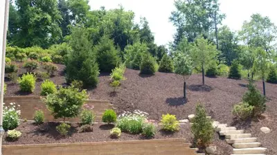 Landscape and Hardscape by Fairfield Photo