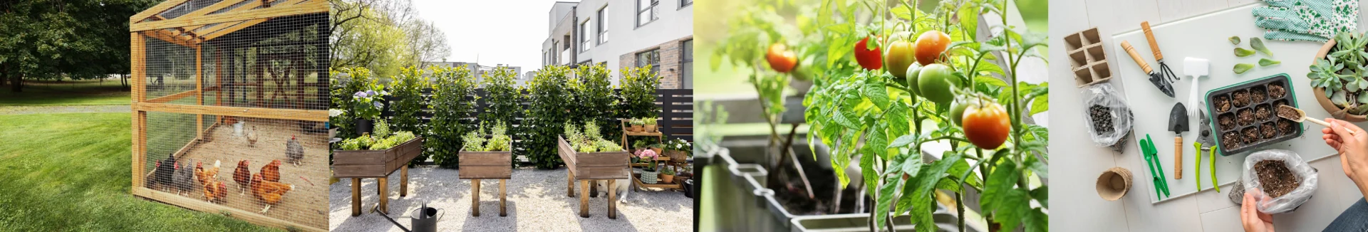 A collage showcasing five landscaping trends, including a chicken coop, raised garden beds, container-grown tomatoes, and a workstation for propagating plants.