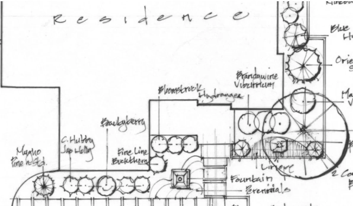 A hand-drawn landscape design sketch of a residence. 