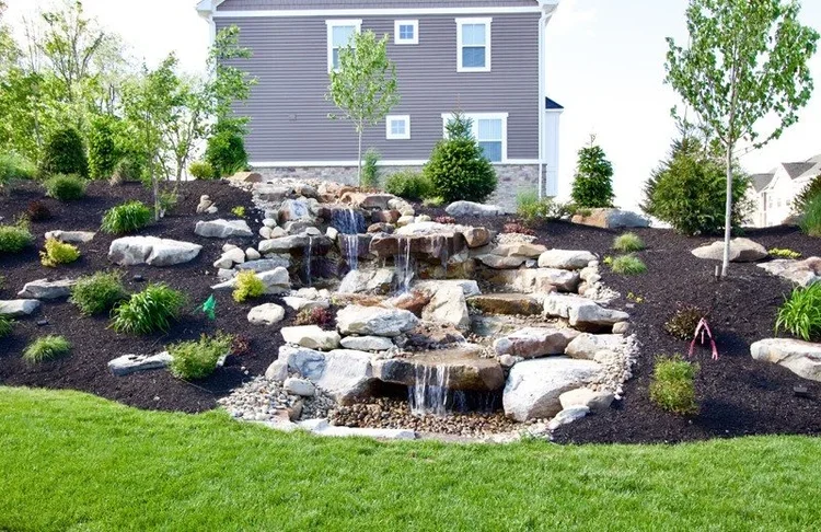 Landscape ideas